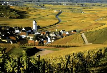 美国旧金山+ 纳帕山谷Napa-可定制【中文专车-舒适纯净】【中文专车出行，景点灵活调整，打卡经典，游玩自己定义，无需等待，专属贴心服务，尽享惬意旅程】