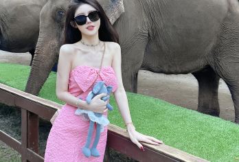 西双版纳野象谷+西双版纳原始森林公园一日游【纯玩无购物】【[品质保证]正规旅游巴士，二十年驾龄老司机放心出游，只做纯玩，干净纯粹，休闲的体验旅游】