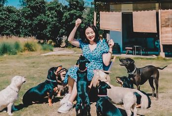 清迈粘粘瀑布+网红狗狗与大象咖啡馆Elely Cafe半日游【亲子友好景点·适合家庭游玩，瀑布底部适合小朋友攀爬，安全又有趣】