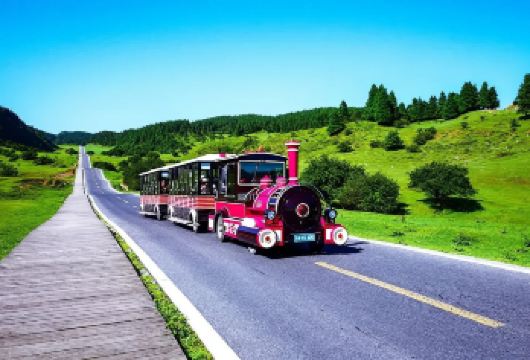 重庆武隆天生三桥+仙女山+乌江一日游【8人内•航空车·纯玩】【[自营直发·品质保证]3年内车型，给我一次机会，还您安全，舒适的旅程，我们的座驾就是不一样！】