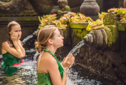 乌布亮点和瀑布：文化与自然美景的一天【探访郁郁葱葱的热带森林环绕的壮丽瀑布，感受令人叹为观止的自然风光和令人心旷神怡的休闲时光。沉浸在自然与文化的完美融合中，欣赏壮丽的景色、历史遗迹和宁静的景色，全天尽情享受。在乌布艺术中心的迷人咖啡馆和露天餐厅，探索当地美食。】