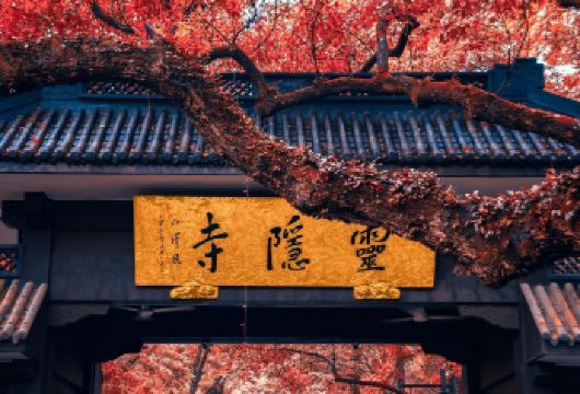 灵隐寺+飞来峰代预约·赠18籽+福袋+3支清香+人工精讲【一价全含·人工佛学深度讲解·门票代预约】