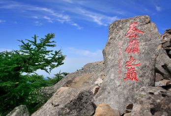 【直通车】朱雀国家森林公园一日游·纯玩·踏青【登顶秦岭之巅】