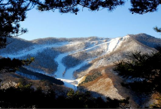 天桥沟滑雪一日游【天桥沟滑雪一日游+市内上门接送】【行程包含上门接送费用】
