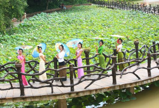 【纯玩小团】中国科学院热带植物园+曼听御花园纯玩一日游【[灵活自由]精品小团，行程节奏可调整，出发时间、游玩时间可调节，个性化服务，让您出行无忧】