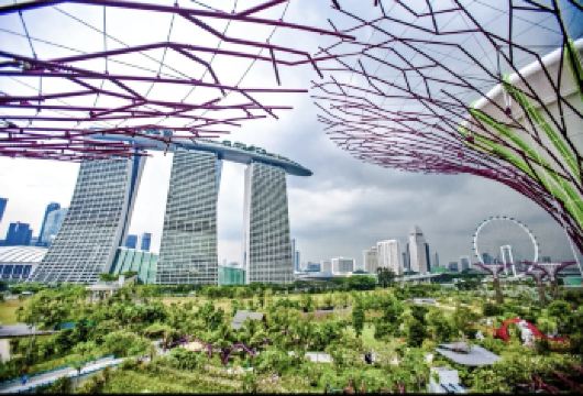 新加坡艺术科学博物馆+鱼尾狮公园可定制【中文专车-舒适纯净】【中文专车出行，景点灵活调整，打卡经典，游玩自己定义，无需等待，专属贴心服务，尽享惬意旅程】