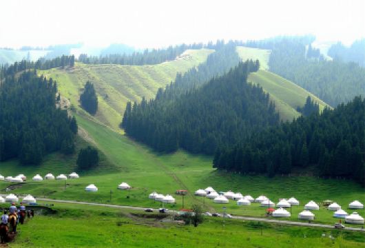 南山牧场一日游【西白杨沟+乌拉斯台草原+瀑布+纯玩无购物】【[品质行程] 全程纯玩无购物，绝无强制消费，让您放心出游】