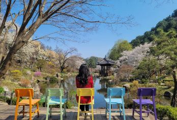 京畿道| 南怡岛 x 小法国村 x 意大利村 x 晨静树木园【怡岛唯美自然景，四季皆有不同风貌。林荫小道、湖畔风光令人陶醉，是韩剧《冬季恋歌》拍摄地】
