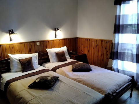 Pettite Morfo-官方