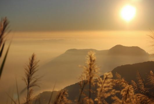 台湾阿里山风景区日游【欣赏日出、小火车】（三＊天两＊晚）【体验具特色的2条阿里山小火车条路线：阿里山森铁本线、祝山观日线】