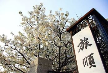 【私家团】旅顺博物馆+东鸡冠山+黄渤海分界线1日活动/定制包车【[优选景点]酒店接送，轻松不早起，车辆早晚两次消毒，带给您安心之旅。】