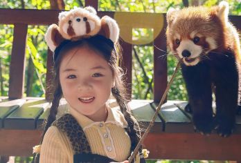 普洱太阳河森林公园+中华普洱茶博览苑一日游【独立用车酒店接】【[尊享定制团]一对一服务，专车司机用车服务，酒店上门接送，纯玩行程，随心出发，懒人玩法！】