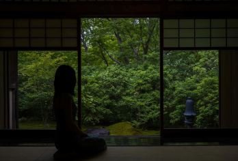 日本京都/贵船神社/三千院-岚山巍峨野小火车/红叶巡礼红叶季【专业行程定制，精选热门景点，高效游玩不走回头路，贴心服务保障，轻松】
