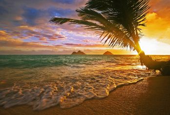 美国-夏威夷欧胡岛-古兰尼牧场-绿龟沙滩-侏罗纪取景地包车游【中文司导，专车酒店接送，包车随心选择，行程可调整，深度游览。】