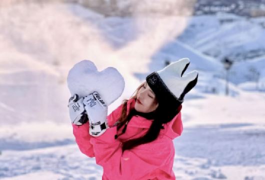 【西站免费接+纯玩无购+滑雪3h+装备+网红款雪服+马拉爬犁【[无忧出行]纯玩无购，亚布力西站免费接，一站式.畅玩滑雪3小时。】