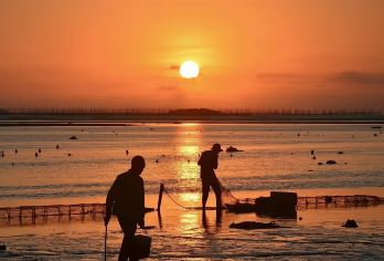 霞浦东壁+花竹村一日游【2-6人私家小团】【私人定制的VIP包车服务，人般的接待2-6人精致小团专属服务，您的满意度我们 放在第一位!】