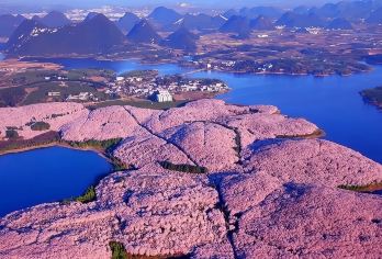 贵州贵阳+甲秀楼+平坝樱花包车定制一日游EA【车接车送，专业地接团队。全天包车8小时，景点可调整，时间自由。】