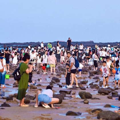 日照自由行包车一日游带队赶海