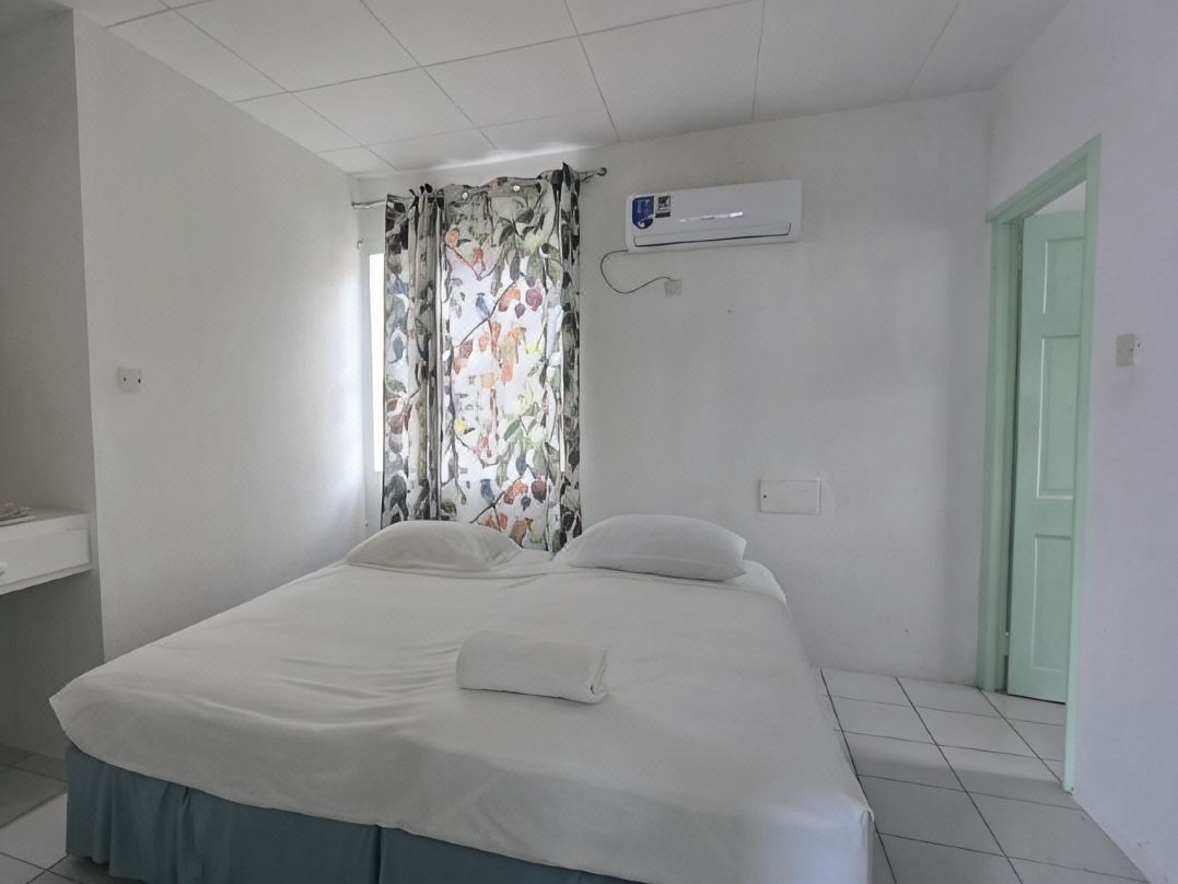 Classic One-Bedroom Apartment W King bed
