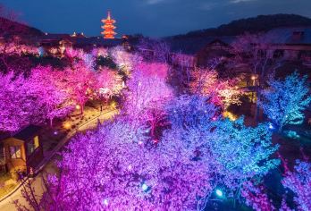 无锡三国水浒城+禅意小镇·拈花湾一日游【影视表演·纯玩逸趣】【摆脱俗世的喧嚣和纷争，净雅禅境，日赏禅意小镇，夜赏水幕灯光秀，让心灵度个假！】