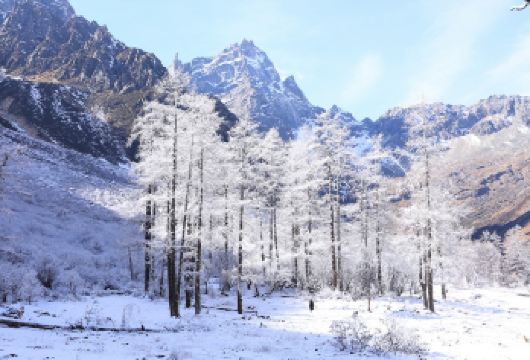 毕棚沟一日游【不低价无套路|可选精致私享团/接早/含观/旅拍【[精选产品]真纯玩，行程透明，无任何隐形消费，安心出行】