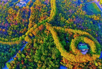 【慢享游】美龄宫 深度讲解 穿越时空的拜访【1.5小时左右的讲解可快速掌握历史脉络，比自主参观收获更系统。】