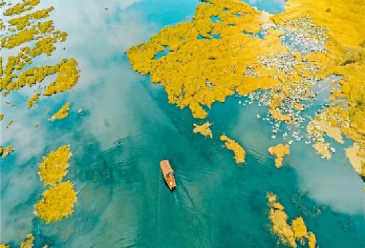 热海公园+北海湿地一日游【纯玩2-6人 拼小团】【打卡腾冲两大核心景区，赏湿地灵秀、热海沸泉，一日解锁地质与生态双重盛宴】