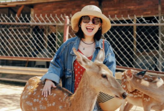 普洱太阳河森林公园+中华普洱茶博览苑一日游【独立用车酒店接】【[尊享定制团]一对一服务，专车司机用车服务，酒店上门接送，纯玩行程，随心出发，懒人玩法！】