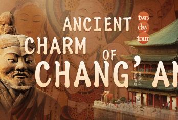 西安包车一日游【优质服务，专业指导。 24小时管家服务 私人小团，专业服务】