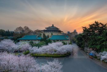 【2-6人小团丨懒睡游江城】武汉大学+黄鹤楼+长江大桥一日游【纯玩2-6人小团，不拥挤不等待（我们一个团不超过6人，减少等待时间，不拥挤，魔幻武汉不迷路）】