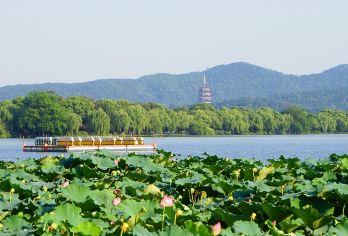 商务车丨英文导游丨上海出发 杭州西湖+雷峰塔+河坊街1日【[精选景点]杭州深度漫游，品味“人间天堂”风情！】