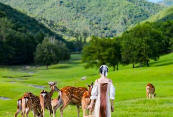 [纯玩-拼小团]伊春-金山鹿苑+九峰山景区一日游【2-6人精致小团，专车接送，多款舒适座驾供选择，可按需量身定制行程；纯玩无购物】