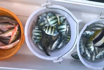 万宁加井岛+洲仔岛一日游【专业海钓+双岛钓+专业设备出海】【洲仔岛+加井岛双钓点，帆船或全新进口专业海钓船出海】