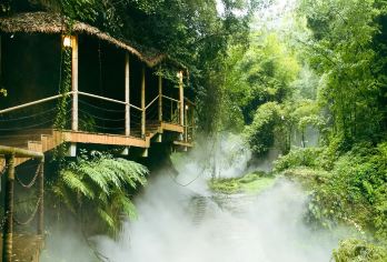 川西竹海景区+平乐古镇一日游【徒步古镇休闲 | 纯玩无购物】【[天然氧吧] 高负氧离子，轻松去打味 | 打卡高空玻璃栈道 | 慢享古镇悠闲时光】