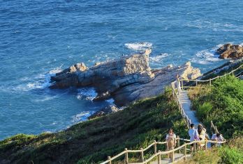 私家小团上门接送|深圳较场尾+西冲沙滩+大鹏地质公园一日游【私家旅行：一单一团，不拼客，专属旅行； 品质服务：车上门接送，专职司机护航】