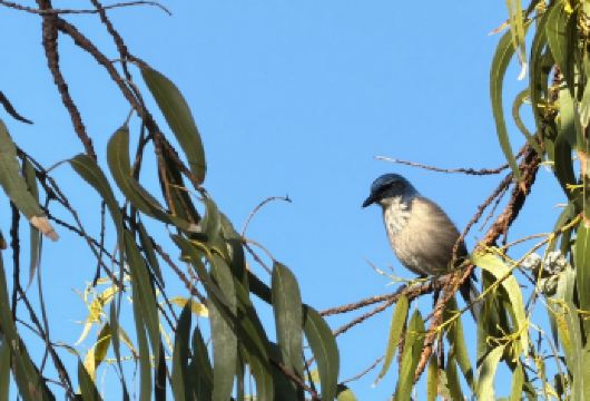 美国洛杉矶环球影城+圣莫尼卡海滩【中文专车包车出行】【中文专车出行，景点灵活调整，打卡经典，游玩自己定义，无需等待，专属贴心服务，尽享惬意旅程】