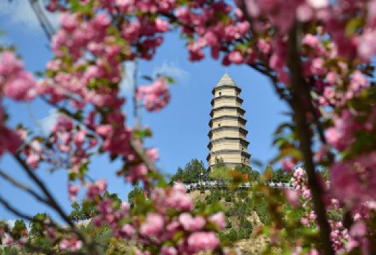 延安革命纪念馆+杨家岭+枣园+宝塔山+王家坪革命旧址一日活动【享自由包车游】