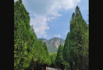 嵩山+嵩山风景名胜区+峻极峰+少林寺+三皇寨/多国语言导游@【嵩山风景名胜区，这里不仅拥有三皇寨、峻极峰等壮美的自然风光，同时还是世界地质公园，地质资源相当丰富。】