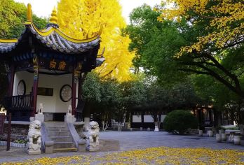 合肥包公园半日游【含门票·1.5小时深度讲解·含耳麦】【[优质小团]5人小团，避免嘈杂，给您更好的感受】