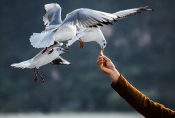 昆明滇池一日游包车 滇池360°环游·三环接送·跑彩色赛道【品牌服务·随意组合·行程专属定制·独立用车含接送·体验式休闲游】