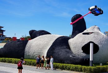 【2-8人精品团含门票】熊猫基地+都江堰+钟书阁+仰天窝【[品质承诺]亲子游必选，三环内免费接早，正规旅游车】