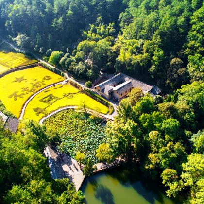 一价全含+上门接送|毛泽东同志故居+纪念馆+刘少奇故里一日活动