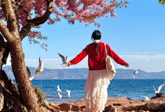 云南省博物馆+抚仙湖禄充风景区+明星鱼洞+红沙滩包车一日游【[创新线路]包含禄充风景区门票+明星鱼洞门票+云南省博物馆2小时深度讲解（无线耳麦+预约入园门票）】