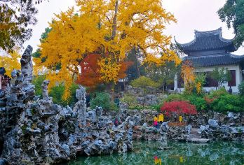 狮子林+寒山寺+虎丘山+山塘街+苏州民俗博物馆（C线狮虎线）【涵盖了苏州代表性的景点，世界文化遗产】