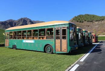 北京观光日活动【乘铛铛车·游长安街·赏京城美景·听京城故事】【[铛铛观光车，沉浸式体验]复古怀旧，颜值担“铛”，让每次出行都成为流动的风景】