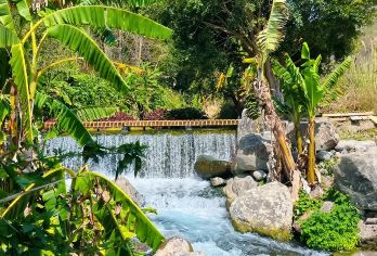 腾冲荷花温泉+坝派巨泉+抚司署一日游可升级过桥米线水果采摘【[趣味傣乡]打卡的腾冲森林温泉+低温温泉+探秘傣族小故宫；】