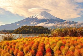 东京富士山河口湖+山中湖白鸟船一日游【9人团可选酒店接送】【[9人精品小团]人少事少，可选酒店上门接送，中文司机，无需担心语言不通】