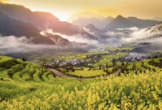 黄山包车| 婺源篁岭+江岭景区一日游  | 上门接送 【[一对一包车]专车上门接送，车辆费用全含】