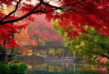 上海往返：无锡一日游 |一单一团 |中英等多语种-定制包车#【[品质纯玩]拒绝走马观花式游览，资深司导一站到底式管家，一单一团，行程景点可定制可调】