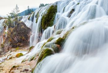 九寨沟一日游【黄龙九寨站-九寨沟单程直通车】【49座大巴车，拼车更有性价比，可选保姆车~】